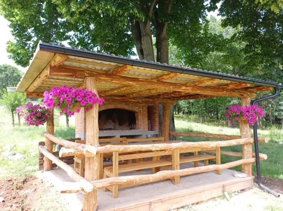Farma & Apartmani Opg Sasa Delic Korenica Exterior foto