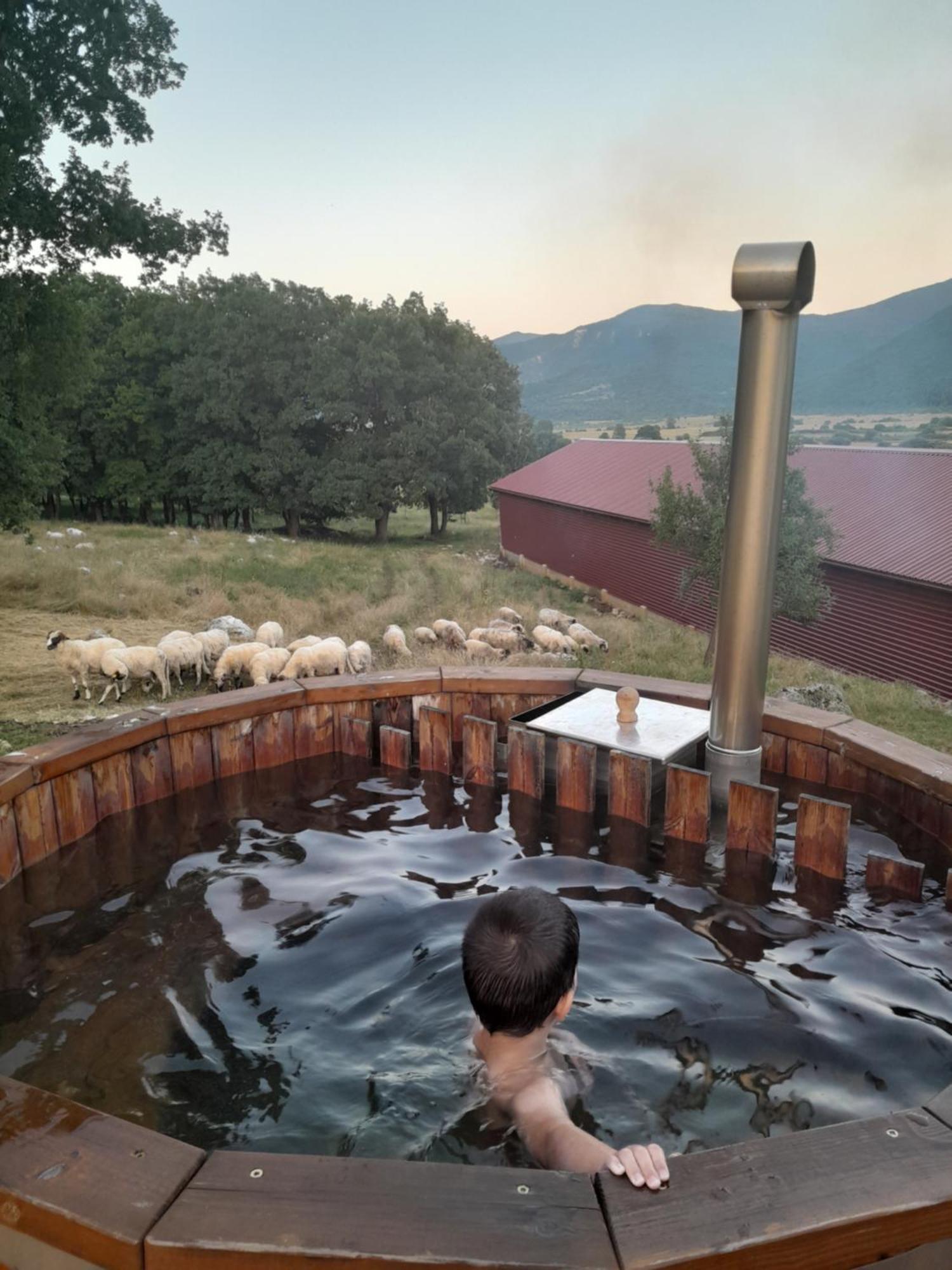 Farma & Apartmani Opg Sasa Delic Korenica Exterior foto